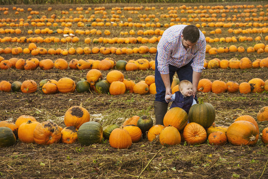 A man and a boy toddler among rows of bright yellow, green and orange pumpkins in autumn. 