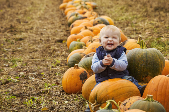 A small boy sitting among rows of bright yellow, green and orange pumpkins laughing and clapping his hands. 