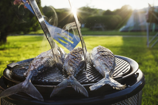 Barbeque with three fresh mackerel fish on grill