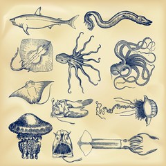 Vintage nautical collection