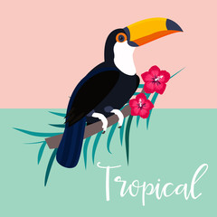 Image of bright tropical toucan and palm branch © danceyourlife