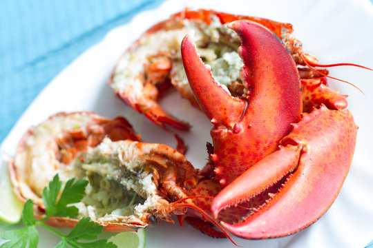  Boiled lobster with parsley lime garlic and butter for dinner seafood concept