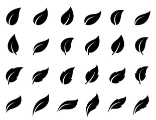 set of isolated leaves icons