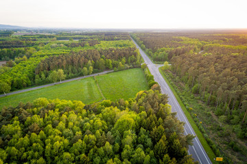 Wald mit Landstraße in Deutschland