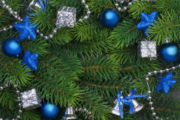 Fototapeta premium Christmas branch with blue decorations