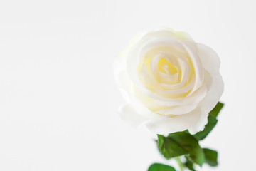 White rose on the light background. Blank greeting card. Empty place for a text. Decorative artificial flower.