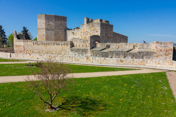Fototapeta na wymiar historical and ancient castle of Zamora, Spain