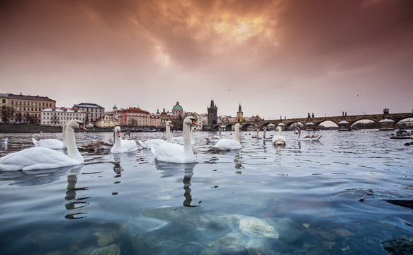 Prague Charles bridge during sunrise. Europe, Czech republic.