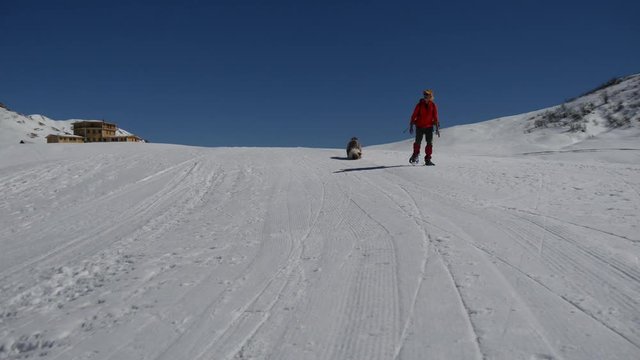 Trekking in inverno sulla neve con il cane pastore