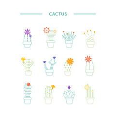 Set of cactus icon