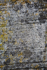 texture