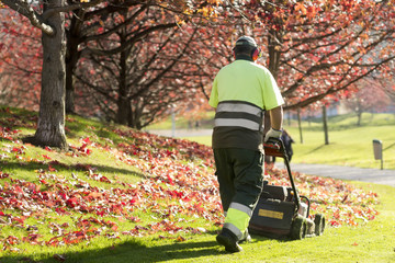 lawn mower grass service gardener  in  city park