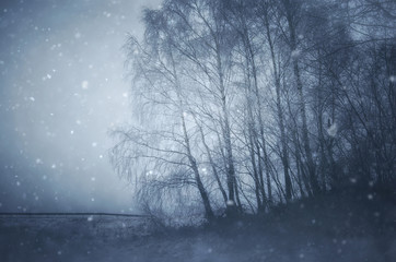 snow falling over trees in fantasy winter landscape