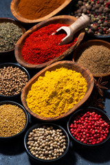 paprika, turmeric, red pepper and other oriental spices, vertical