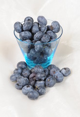 Blaubeeren dekorativ