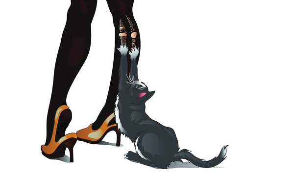 the cat is tearing pantyhose. Vector girl stockings with black cat