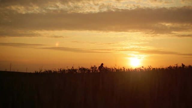 A girl is riding down a bicycle across the field at sunset sky background. Silhouette of anonymous caucasian girl. Real time video