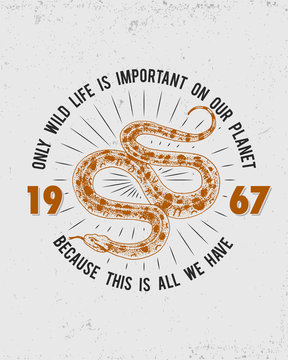 Viper snake. serpent cobra and python, anaconda or viper, royal. engraved hand drawn in old sketch, vintage style for sticker and tattoo. ophidian and asp. print for t-shirt.
