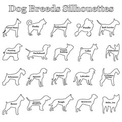 Set of dogs silhouettes of black dogs