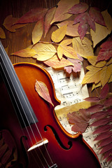 Violin in vintage style
