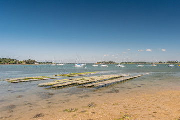 Parcs ostréicoles à marée basse à Sarzeau