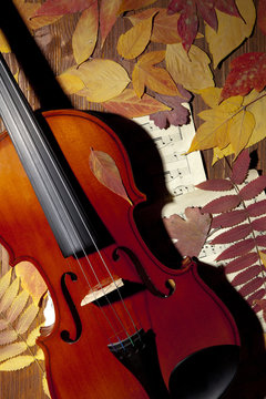 Violin in vintage style