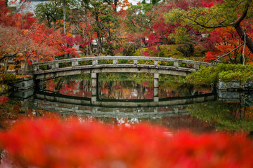 Obraz premium Stone bridge and leaves change color.