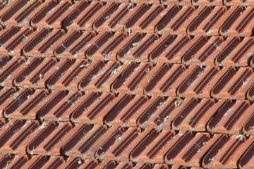 Bird droppings on roof tile