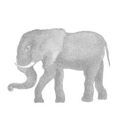 Elephant. Vector illustration