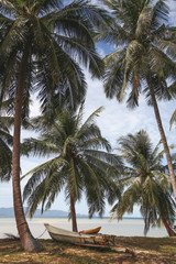 palm trees at tropical seashore with boat standing on ground