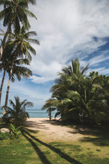 Fototapeta na wymiar palm trees on tropical beach with blue ocean on background