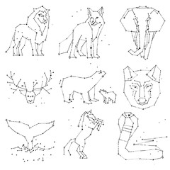 Collection of hand draw animals constellation on dark sky. Sketched wild animals with line and stars, horoscope style. Doodle constellation animals for cards, elephant, owl, wolf and other wild