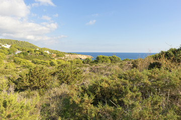 Fototapeta na wymiar Cape Martinet on the island of Ibiza, Baleares, Spain 
