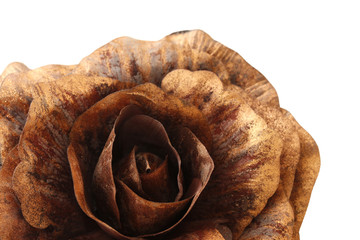 floral objects on a white background