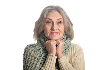 Fototapeta premium happy Smiling senior woman 