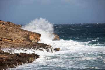 Breaking wave with spray
