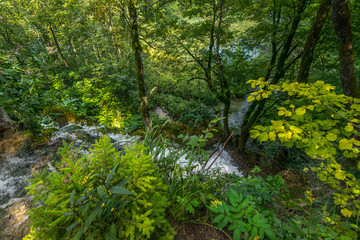 Fototapeta na wymiar Plitvice Lakes National Park, Croatia, Balkan Peninsula, Europe