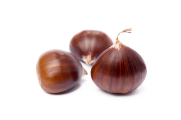 Chestnuts isolated on white background