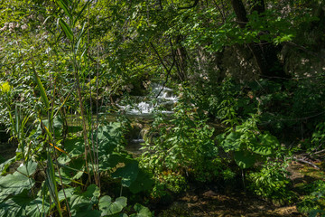 Plitvice Lakes National Park, Croatia, Balkan Peninsula, Europe