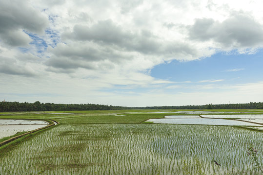 Beautiful landscape of Rural India