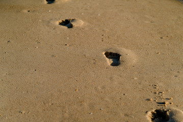 Fototapeta na wymiar Footsteps on a beach in Portugal