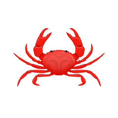 Red sea crab . Species crustacean lobsters of seas and oceans.