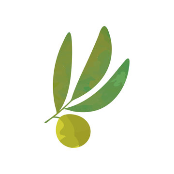 Small olive branch with green leaves isolated on white. Agricultural symbol. Healthy food concept. Natural graphic design. Cartoon flat vector