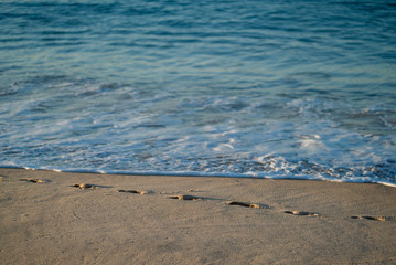 Footsteps in sand on a beach in portugal at sunrise