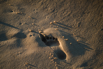Fototapeta na wymiar Footsteps in sand on a beach in Portugal
