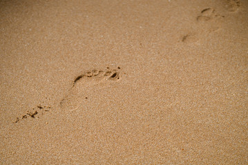 Fototapeta na wymiar Footsteps on a beach in Portugal