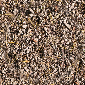 Rocky Ground Texture At Autumn. Background.