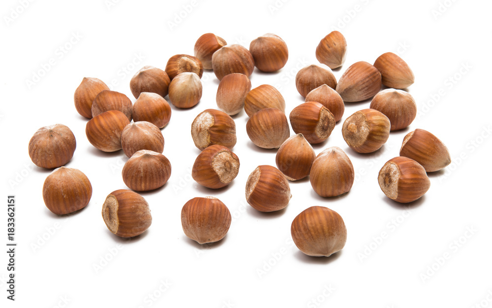 Sticker hazelnut nuts isolated