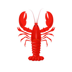 Red lobster, cancer. Product, for restaurant, fresh seafood for cooking.