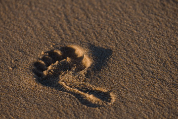 Footstep in the sand on a beach in Portugal